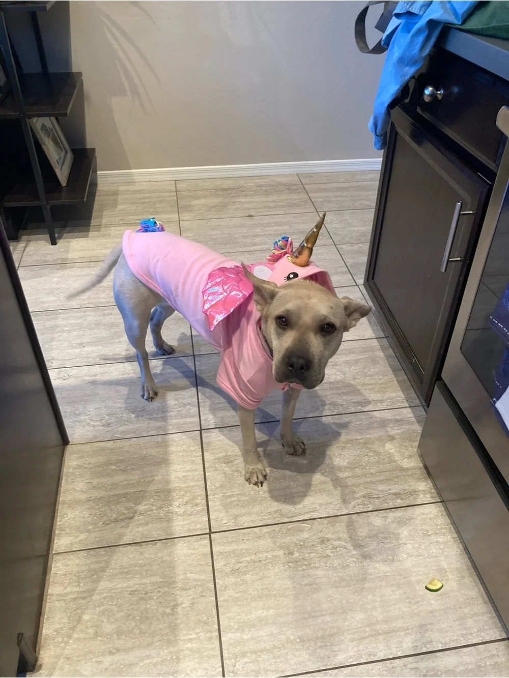 Pink Unicorn Dog Hoodie with Shiny Wings